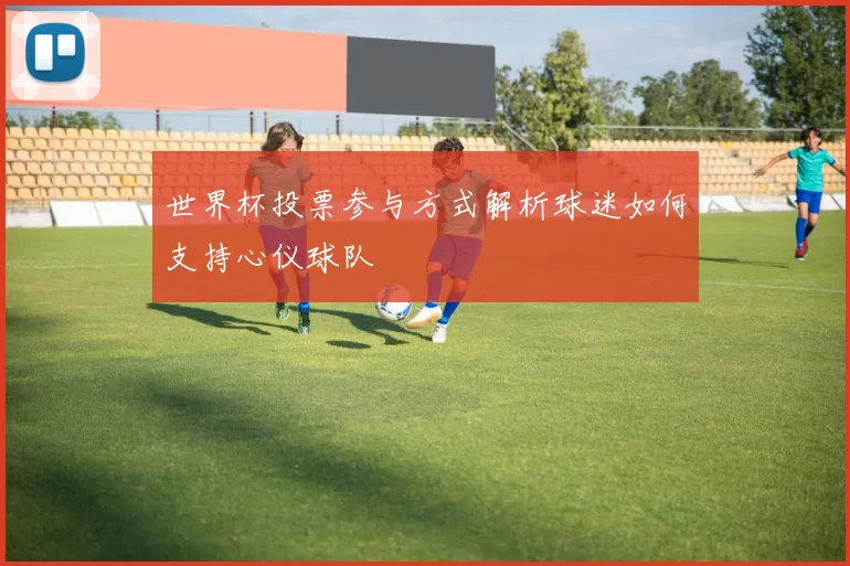 世界杯投票参与方式解析球迷如何支持心仪球队