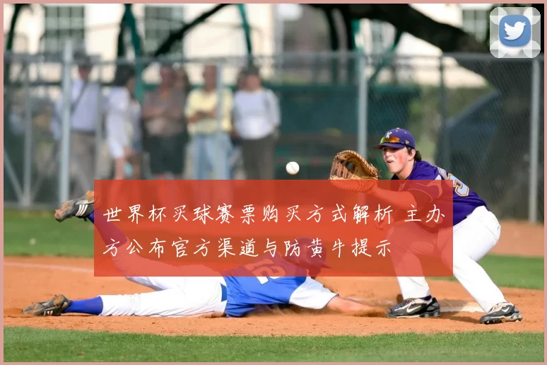 世界杯买球赛票购买方式解析 主办方公布官方渠道与防黄牛提示