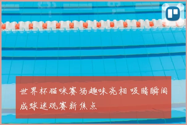 世界杯猫咪赛场趣味亮相 吸睛瞬间成球迷观赛新焦点