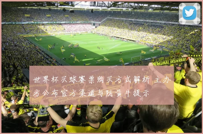 世界杯买球赛票购买方式解析 主办方公布官方渠道与防黄牛提示