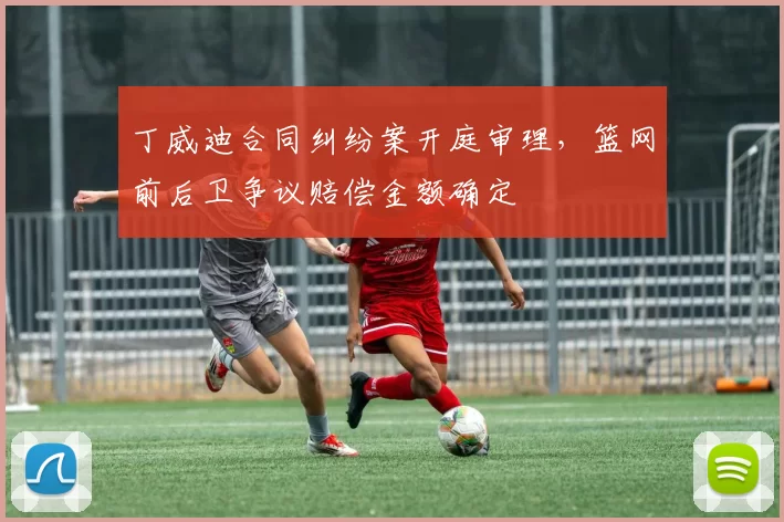 丁威迪合同纠纷案开庭审理，篮网前后卫争议赔偿金额确定