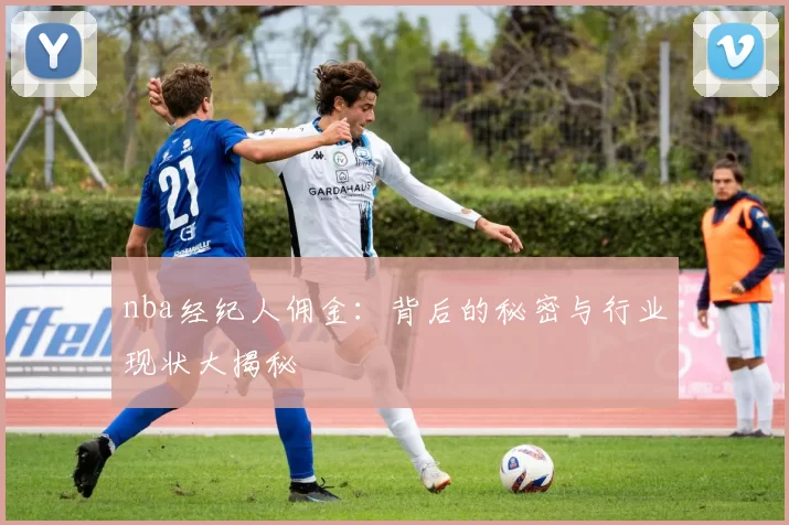 nba经纪人佣金：背后的秘密与行业现状大揭秘