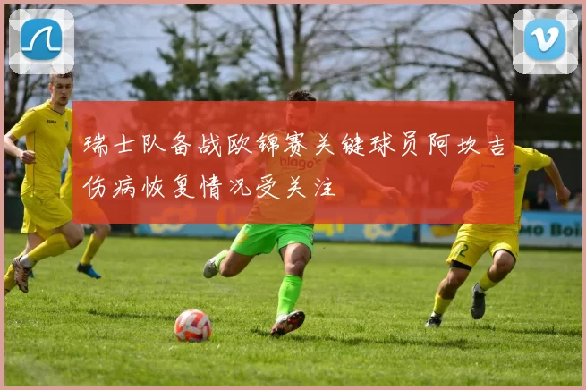 瑞士队备战欧锦赛关键球员阿坎吉伤病恢复情况受关注