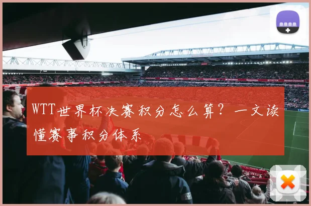 WTT世界杯决赛积分怎么算？一文读懂赛事积分体系