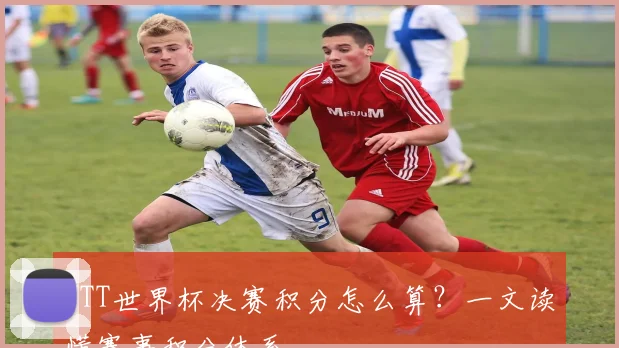 WTT世界杯决赛积分怎么算？一文读懂赛事积分体系